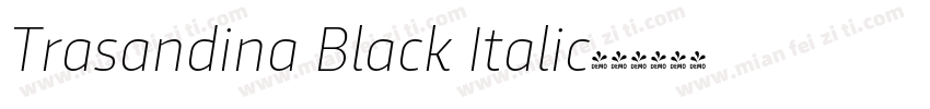 Trasandina Black Italic字体转换